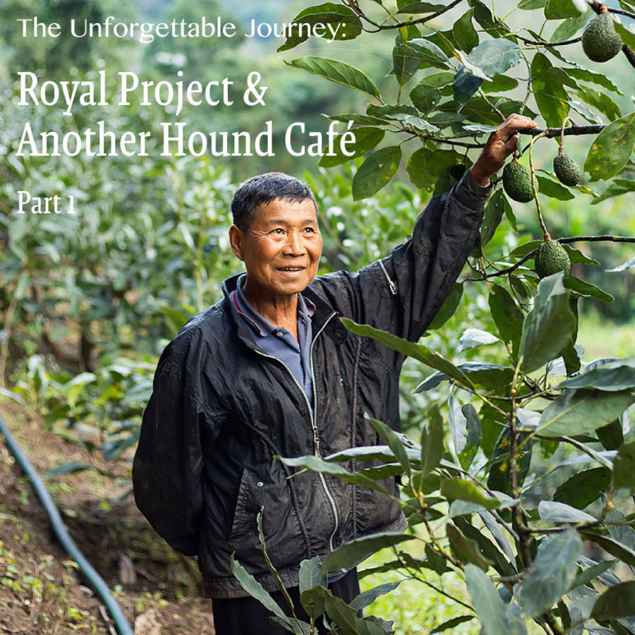 The Unforgettable Journey: Royal project & Another Hound Cafe (Part 1)